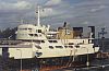 Welfare III stern